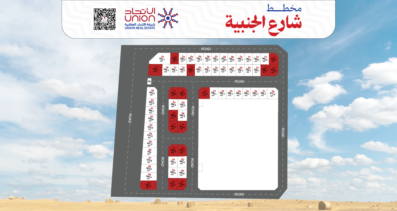 شارع الجنبية